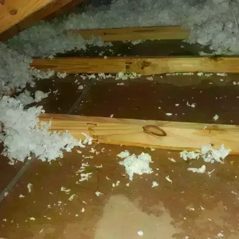 Attic Water Damage in Tullahoma, TN